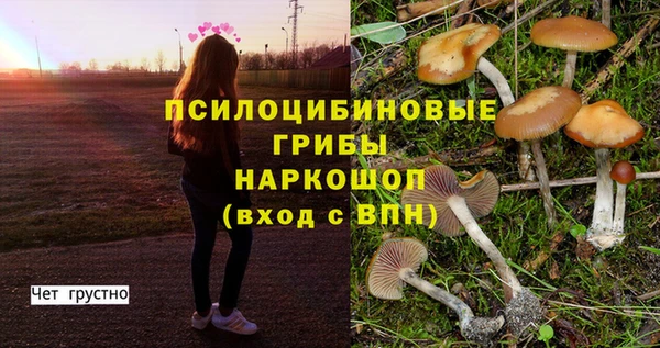 спиды Зеленодольск