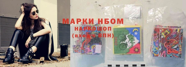 прущие грибы Балахна